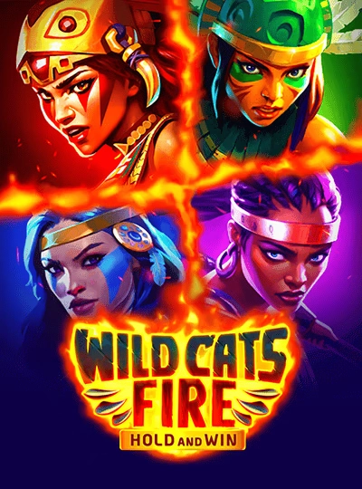 Live Dragon Tiger cover